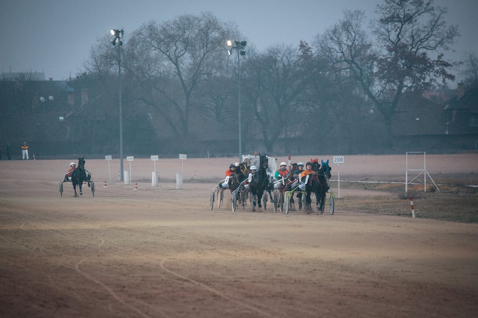 Damen Reitstiefel 🐴: Alles, was Sie wissen müssen