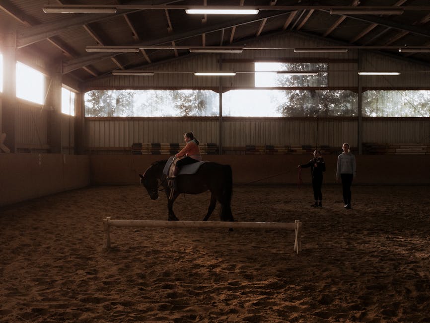Decathlon Gamaschen: Die ultimative Lösung für Pferdebesitzer 🐴