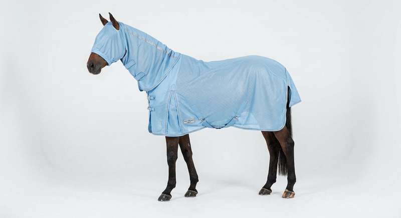 Ekzemerdecke Pferd Sommerekzem Test 2026