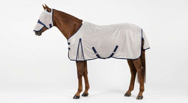Fliegendecke Pferd Test und Vergleich 2026