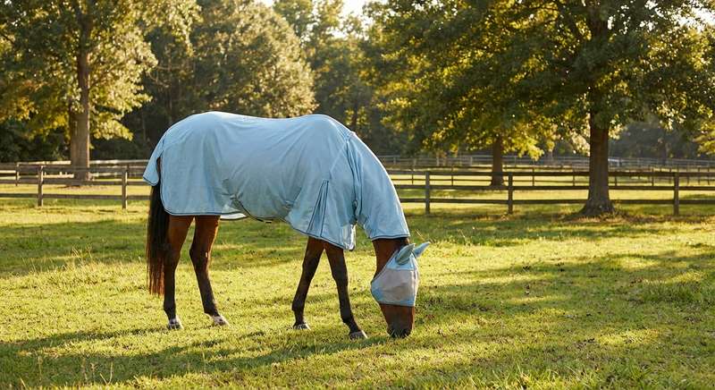 Fliegendecke Pferd Vergleich Tabelle