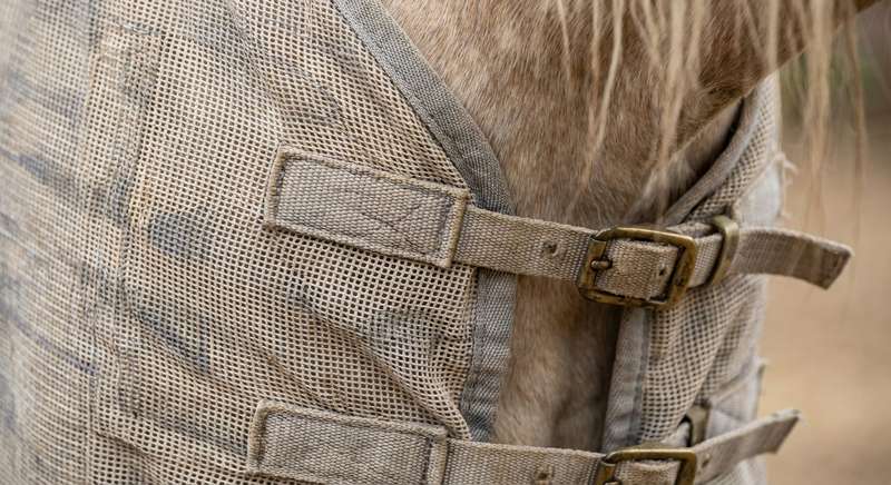 Fliegendecke Pferd richtig anlegen
