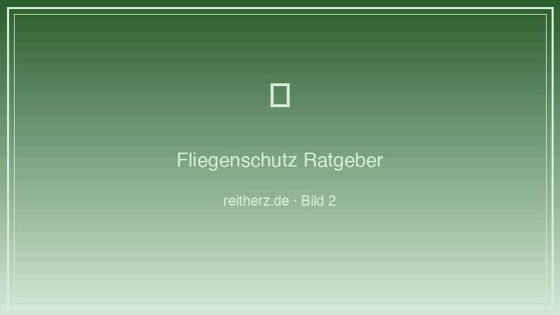 Fliegenschutz Typen Vergleich