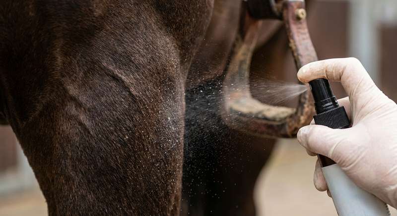 Fliegenspray Pferd richtige Anwendung