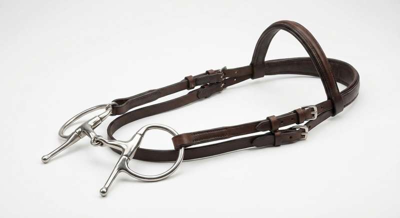 Pferdegebiss: Typen, Wirkung & Kaufberatung 2026 🐴