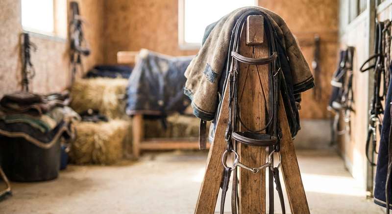 Pferdegebiss Materialien Edelstahl Kupfer