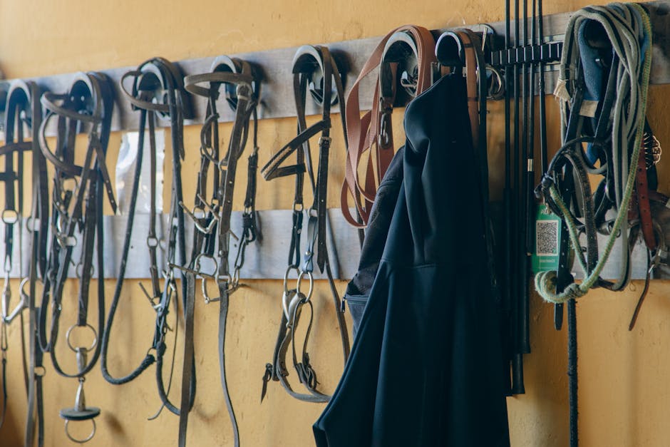 Gebissstange für Pferde 🐴: Die ultimative Anleitung