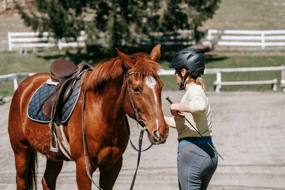 Halfter für Holzpferd