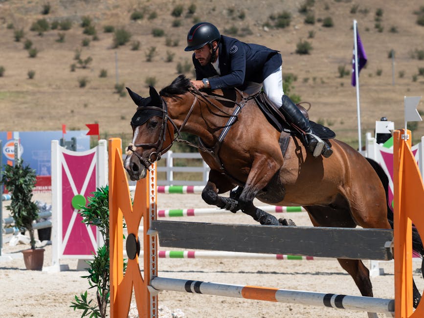 Longe kaufen: Die beste Longe für Ihr Pferd 🐴