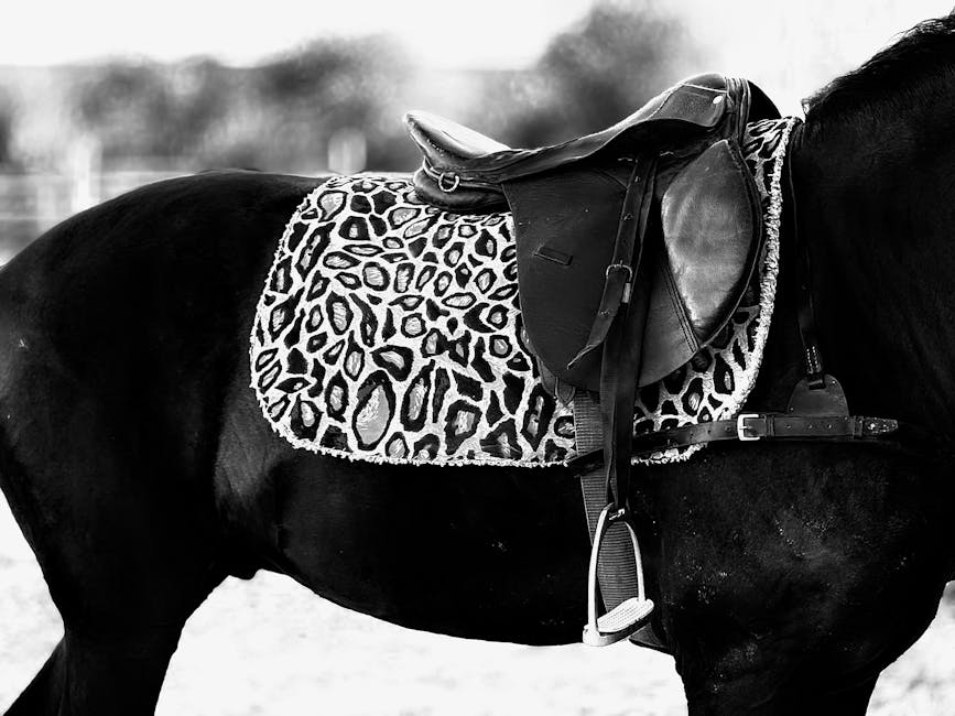 Reithalfter 🐴: Die ultimative Anleitung für Pferdebesitzer