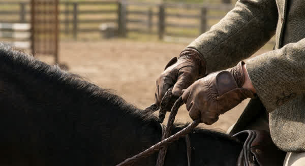 Reithandschuhe 🐴: Die besten Modelle im Test — Kaufratgeber 2026