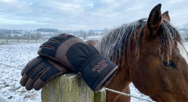 💡 Reithandschuhe richtig pflegen