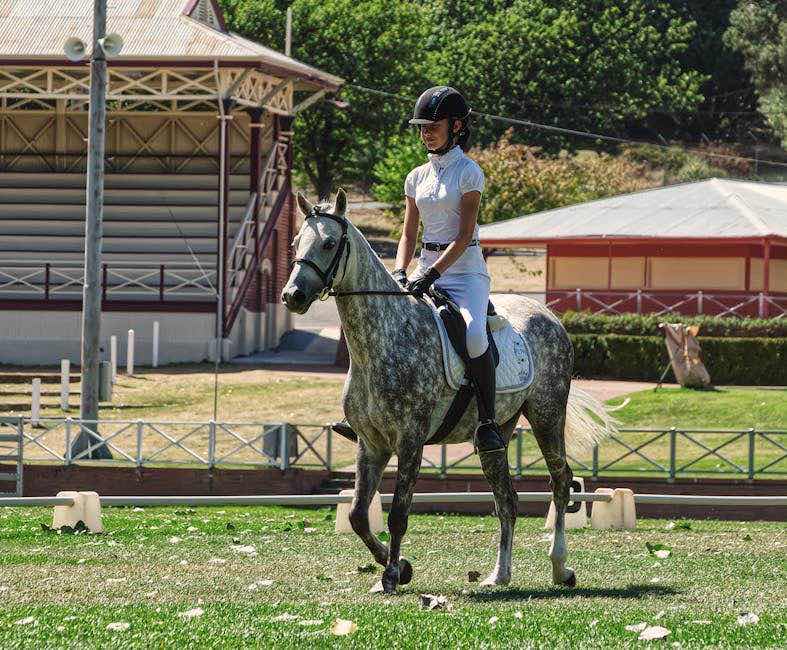 Reithosen von Cavallo