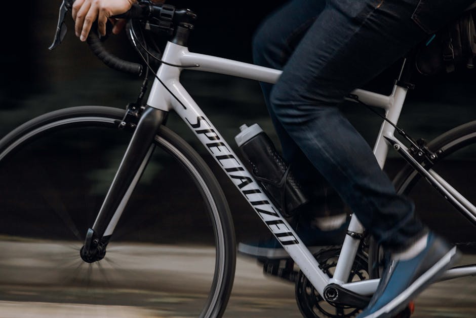 Reithosen Typen Übersicht