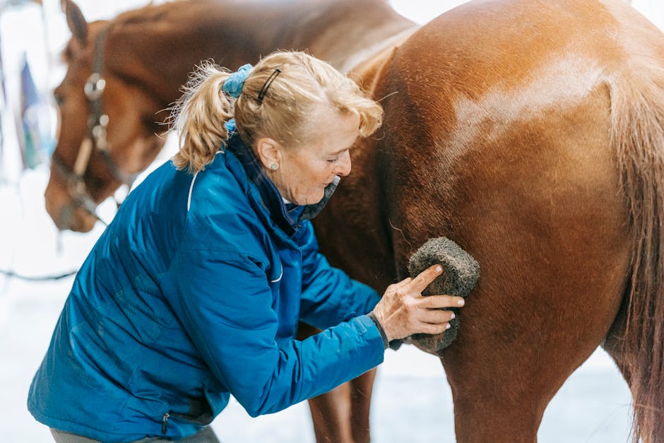 Reithosen für Damen: Die ultimative Reithose 🐴