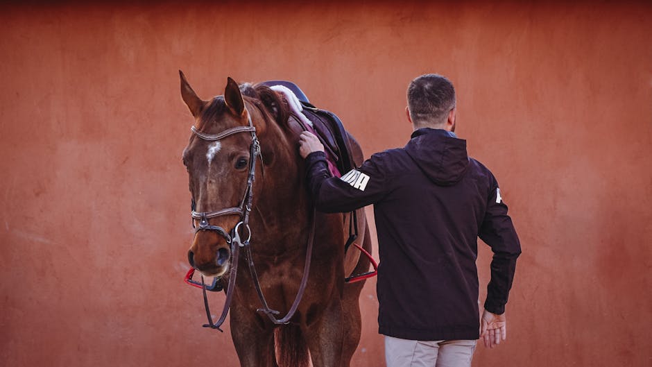 🐴 Reitstiefel Cavallo - Die ultimative Kaufberatung